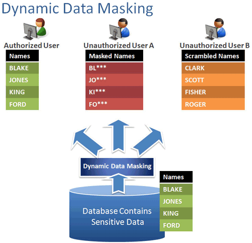 activebase-fig-2